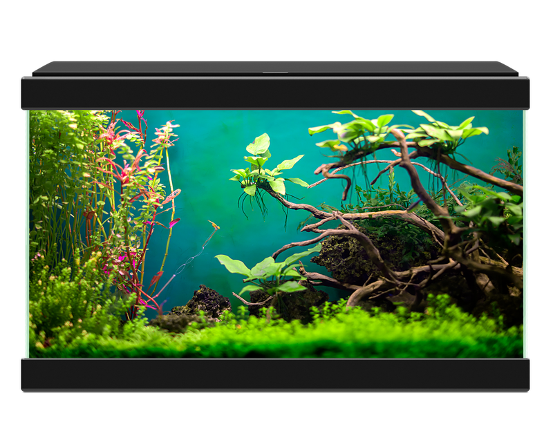 Ciano Aqua 20 Classic Black With Filter (17 Litre)