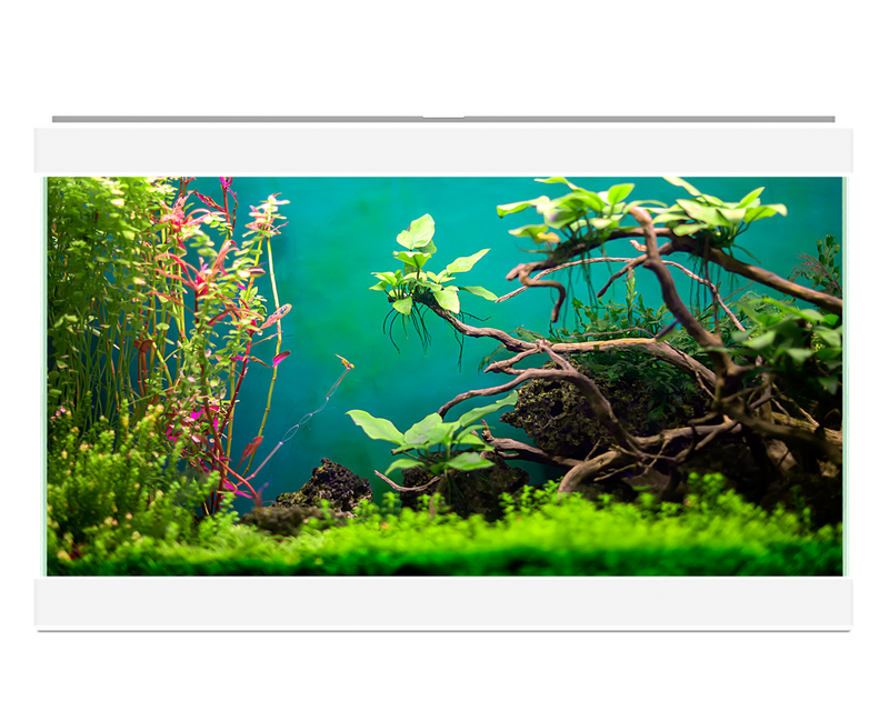 Ciano Aqua 20 Classic White With Filter 17 Litre