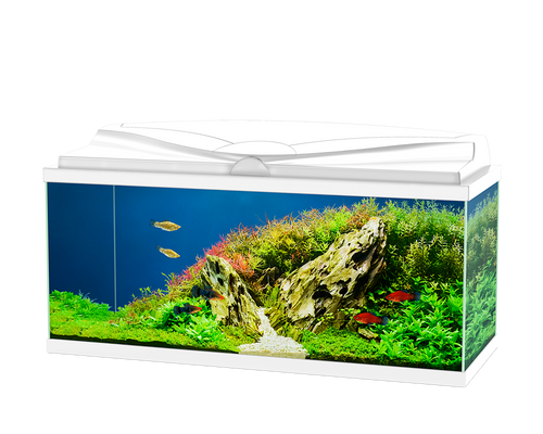 Ciano Aquarium Aqua 60 With Lights & White Lid (60cm x 30cm x 33.5cm With CFBIO 58 Litre 80 Filter)