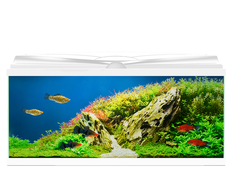 Ciano Aquarium Aqua 60 With Lights & White Lid (60cm x 30cm x 33.5cm With CFBIO 58 Litre 80 Filter)