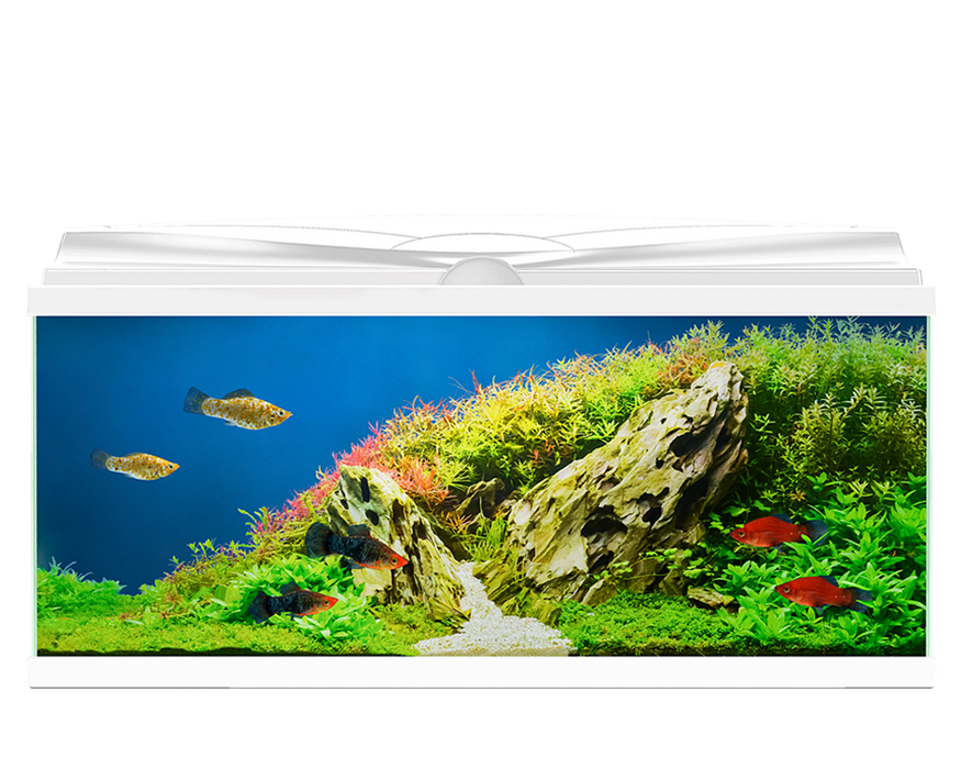 Aquarium Mountain View Stone Ornament Rock Waterfall with White Sand  Landscape Fish Tanks Resin Decor Pump Required - AliExpress