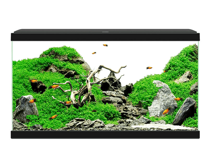 Ciano Aquarium Aqua 60 With Lights & Black Lid (60cm x 30cm x 33.5cm With CFBIO 58 Litre 80 Filter)