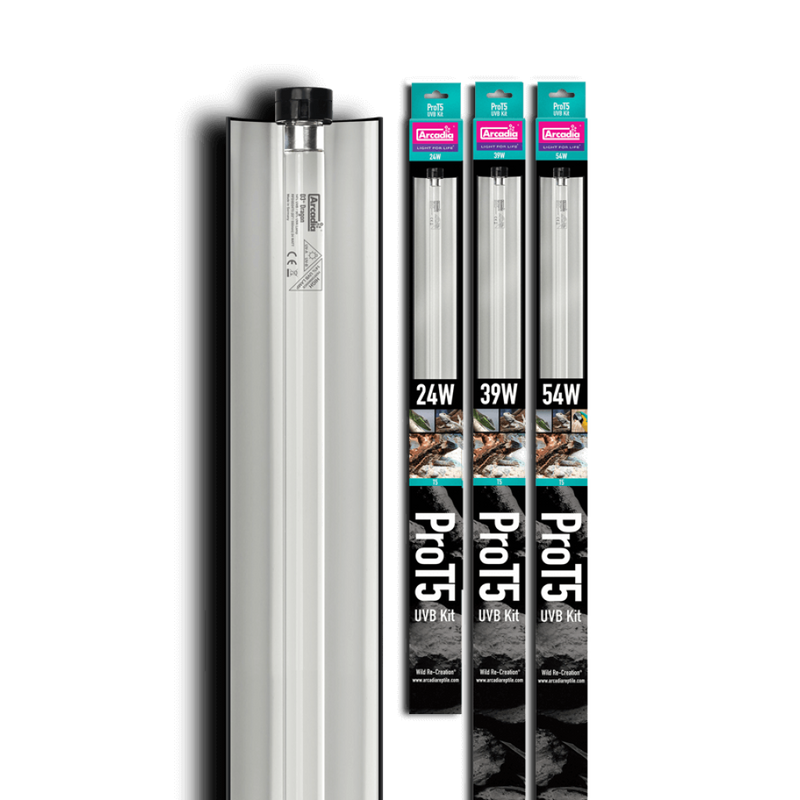 Arcadia Pro T5 UVB Kit Forest 6% UVB 39 Watt