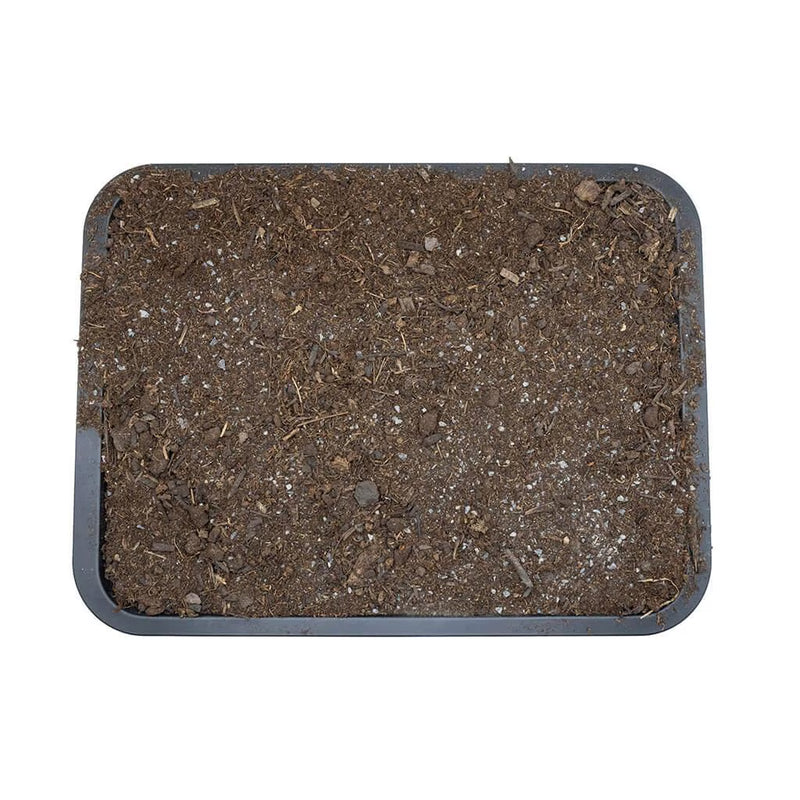Arcadia EarthMix Arid 10L