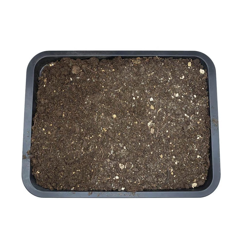 Arcadia EarthMix Prairie 10L
