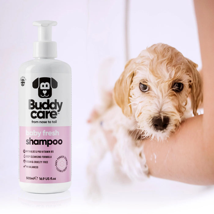 Buddycare Baby Fresh Dog Shampoo (500ml)