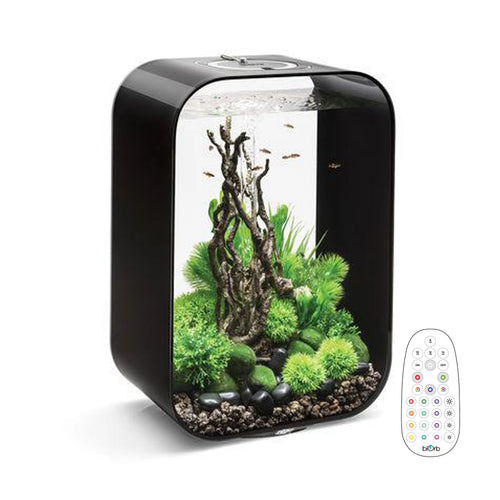 biOrb Life Aquarium 45 Litre with Multi Colour LED Light-Remote Control Black