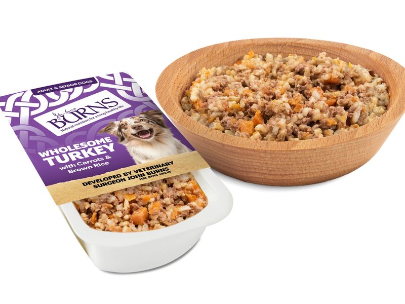 Burns Wet Food Wholesome Turkey with Carrots & Brown Rice (395g)