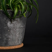 Esschert Cork Plant Pot Saucer – Medium