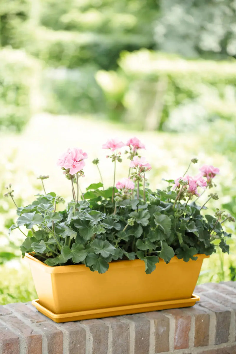 Elho Barcelona Trough 40cm Honey Yellow