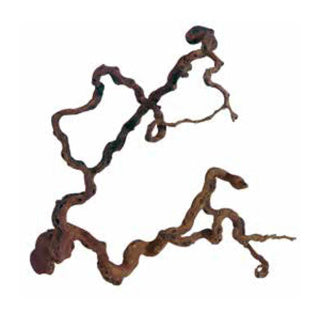 Barcoded Wine Wood L80 - 100cm
