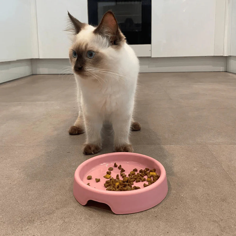 Beco Recycled Plastic Cat Bowl Pink