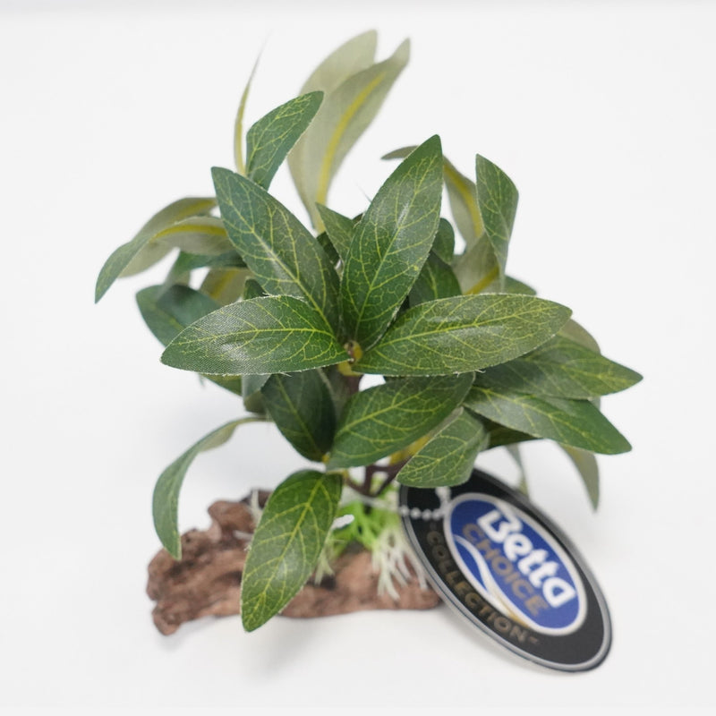 Betta Choice 4" Geen Hygrophila Plastic Plant