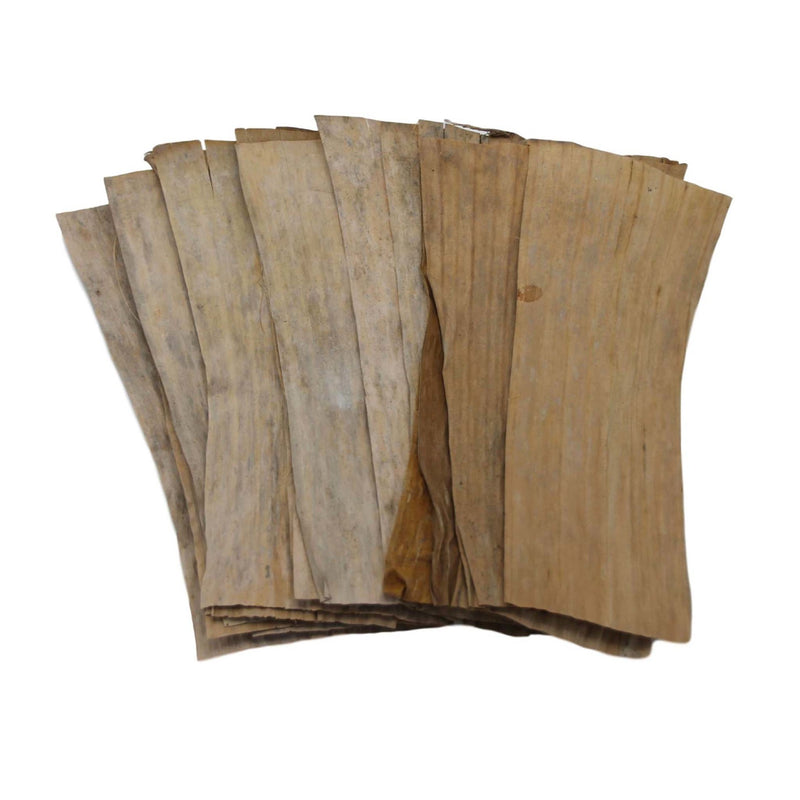 Betta Choice Banana Leaves 20