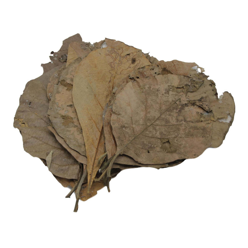 Betta Choice Teak Leaves 10pk
