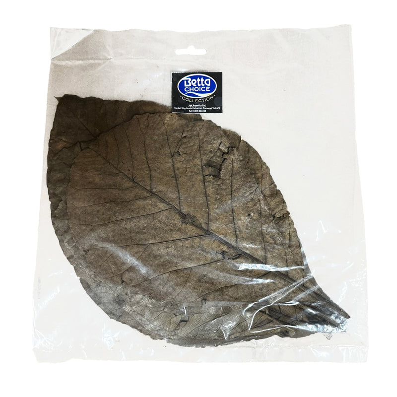 Betta Choice Teak Leaves 10pk