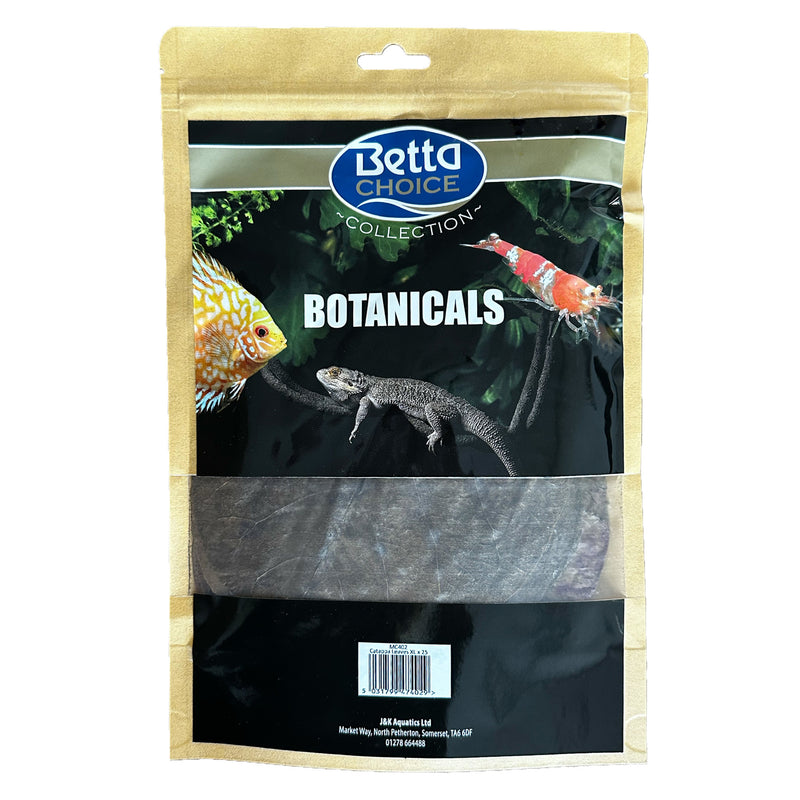 Betta Choise Catappa Leaves XL x25