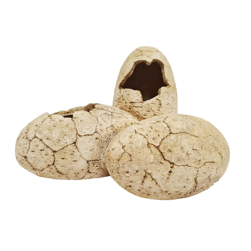 Betta Dinosaur Eggs 20.5cm x 15cm