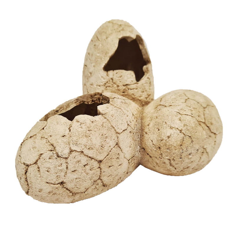 Betta Dinosaur Eggs 20.5cm x 15cm