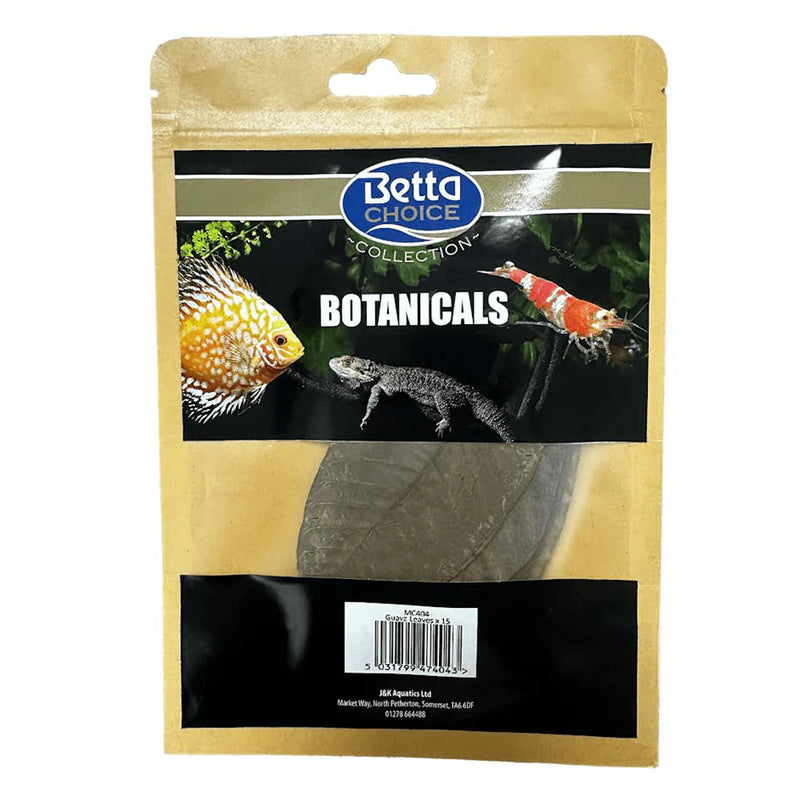 Betta Choice Guava Leaves XL x15