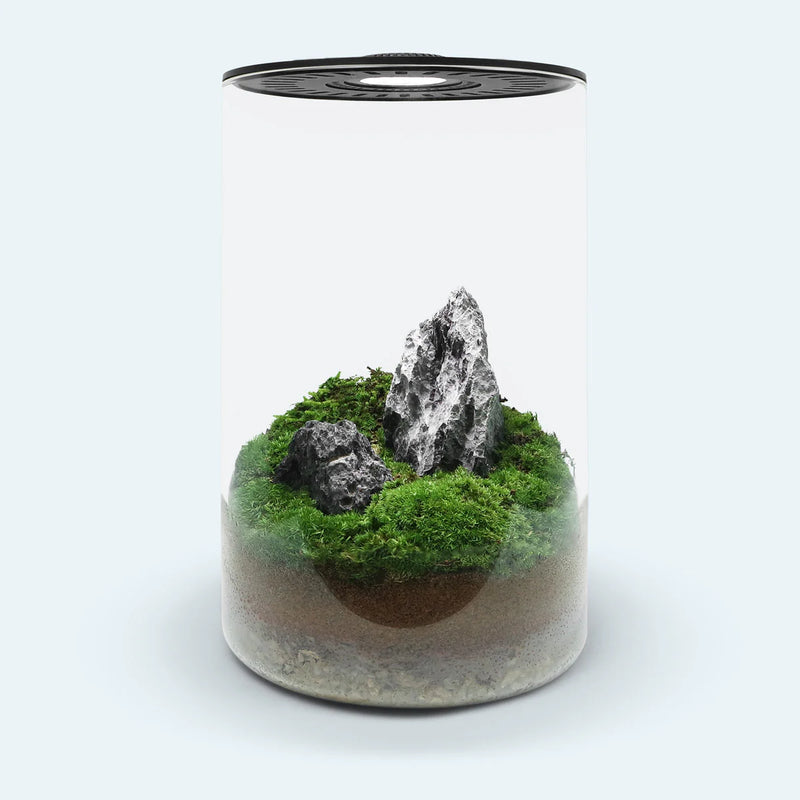 Cylinder Bio Bowl and Light Black (29.5x15.2cm)