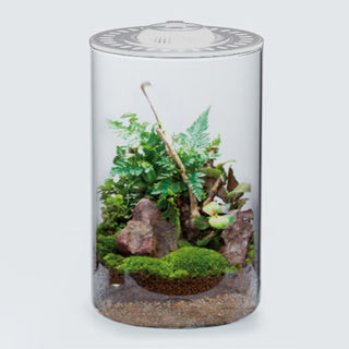 Cylinder Bio Bowl and Light White (29.5x15.2cm)