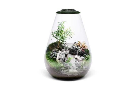 Bio Bowl 200 and Light Black (26x20cm)