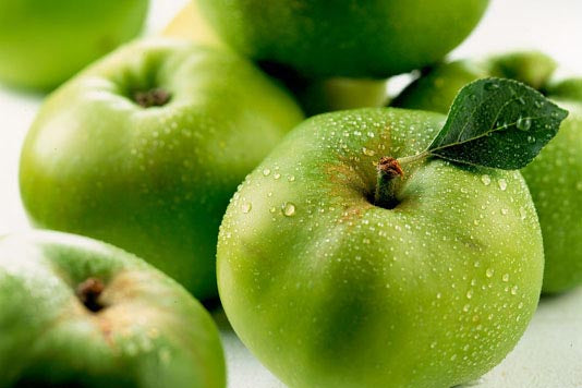 Apple 'Bramleys' Cooking apple