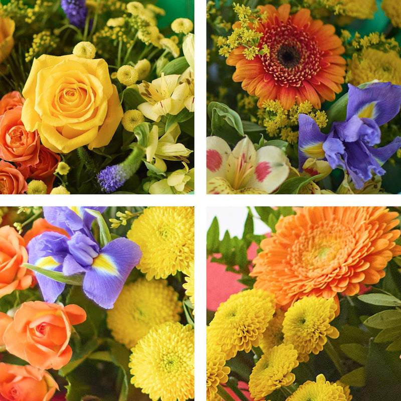 Bright Cheerful Gift Box