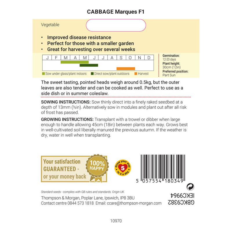 Cabbage 'Marquess' F1 Hybrid (Autumn Sweetheart Type)