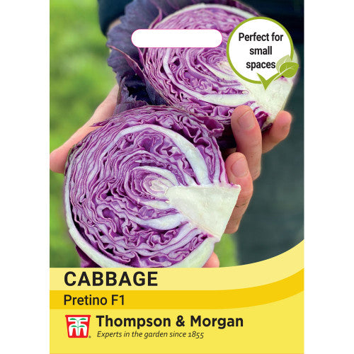 Cabbage 'Pretino' F1