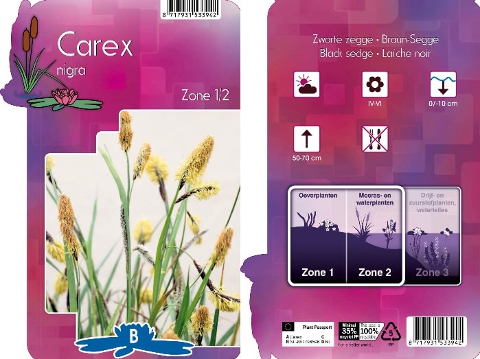 Carex nigra | Black Sage P9