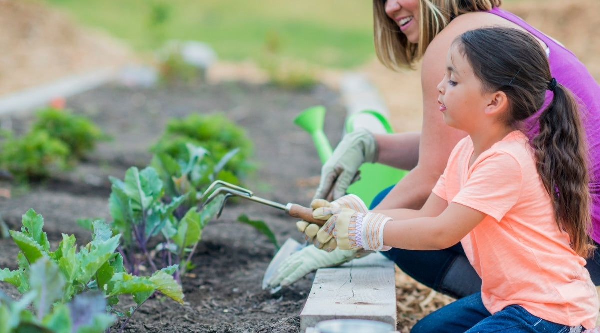 Seeds Kids Will Love To Plant