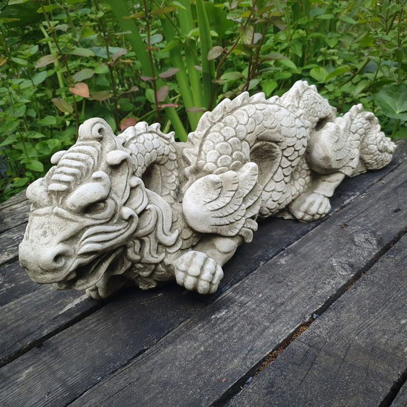 Chinese Dragon 56cm DN7