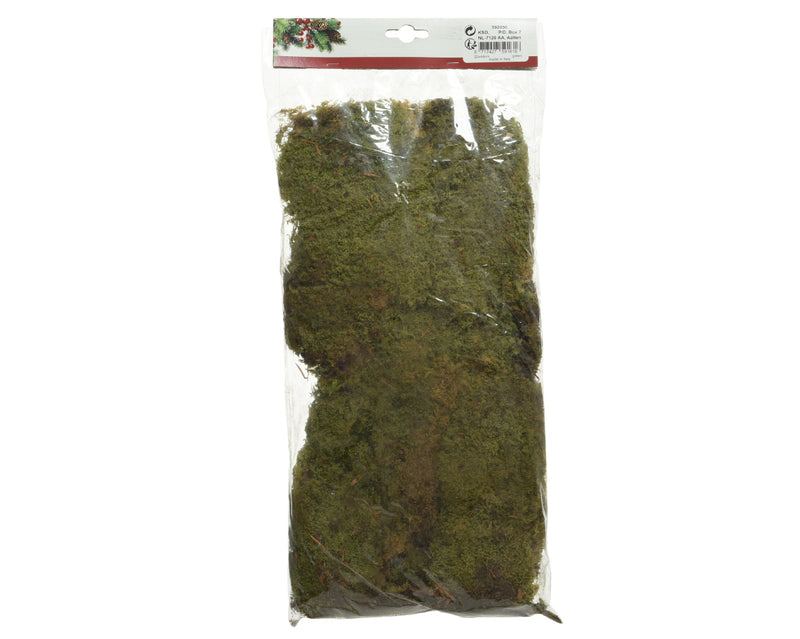 Natural Moss For Nativity Scenes 140g