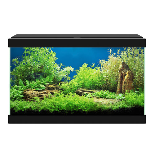 Ciano Aqua 20 LED Black With Light 17 Litre