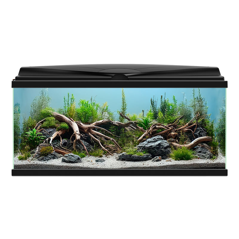 Ciano Aqua 85 LED Black 74 Litre - NEW MODEL