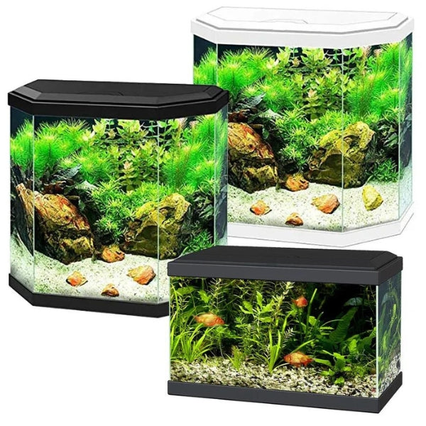 Ciano Aquariums