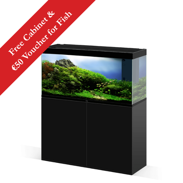 Ciano Emotions Pro 120 Black Aquarium With FREE Cabinet 239 Litre