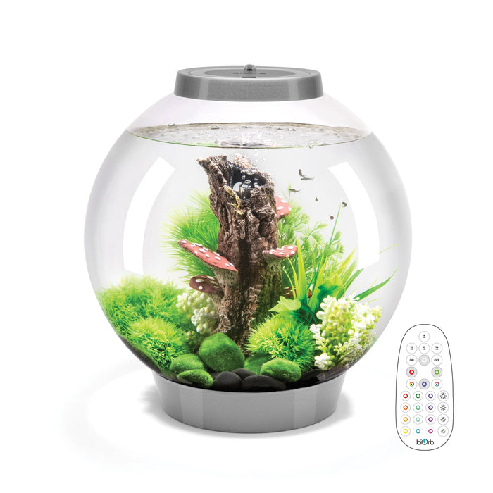 biOrb Classic Aquarium 30 Litre with Multi Colour LED Light-Remote Control Silver