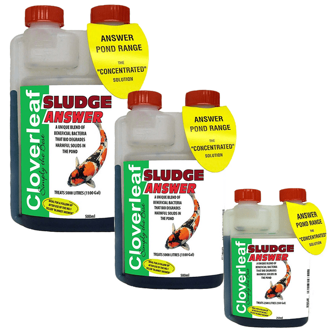 Cloverleaf Sludge Answer (1 Litre)