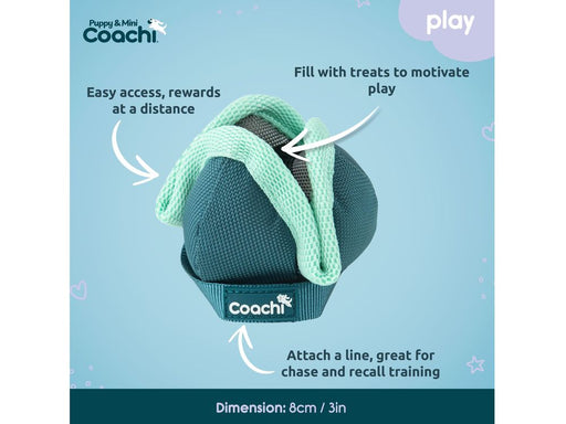 Coachie Pup & Mini Chase/Treat Teal Mint alternate view