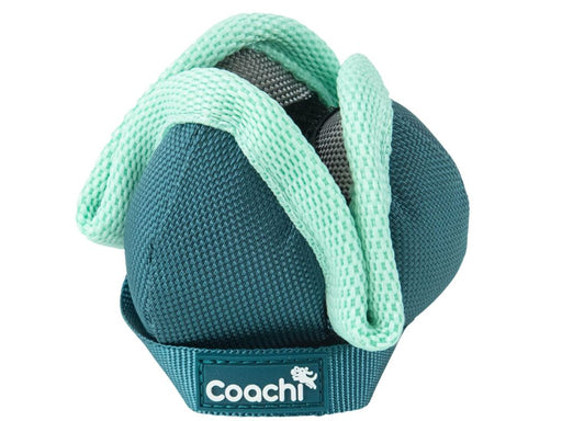 Coachi Pup & Mini Chase/Treat Teal Mint