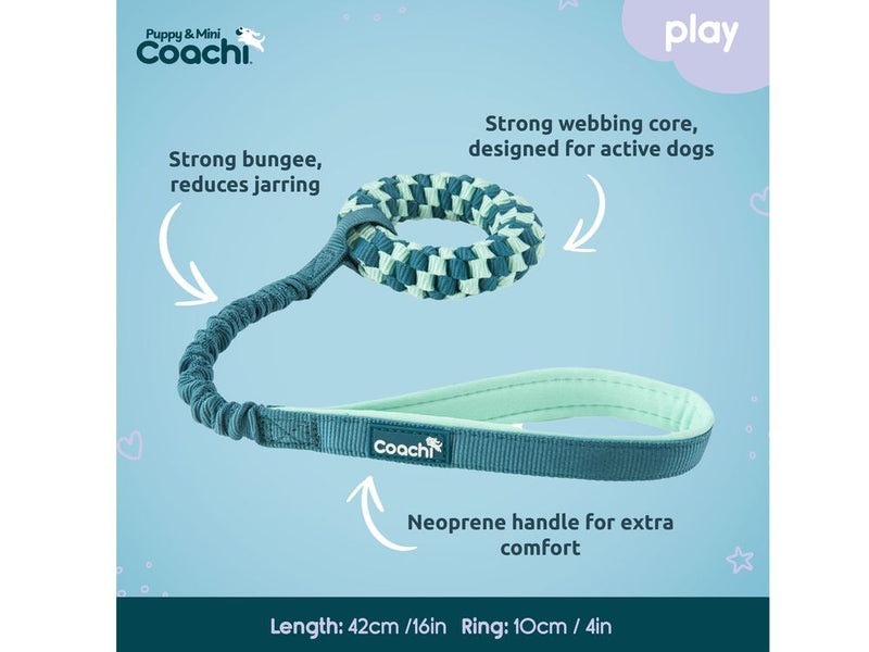 Coachie Pup & Mini Tuggi Helix Teal Mint alternate view