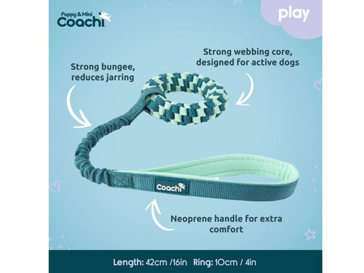 Coachie Pup & Mini Tuggi Helix Teal Mint alternate view