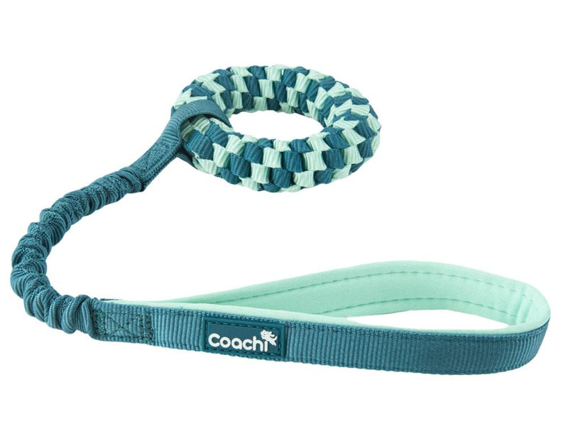 Coachi Pup & Mini Tuggi Helix Teal Mint