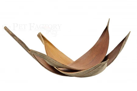 Coconut leaves medium 20-40cm 3 pack