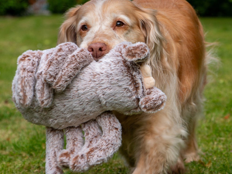 Cuddle Sid Spider Dog Toy