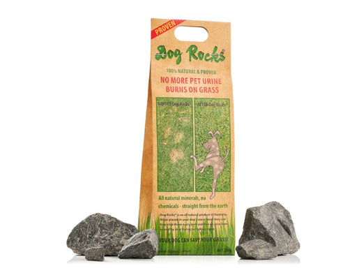 DOG ROCKS product image