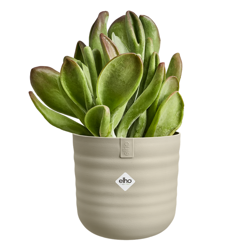 Elho Dune Round 16cm Mushroom Beige – additional product view